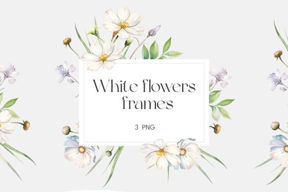 Download Watercolor White Wildflowers Frame - Frame Collection