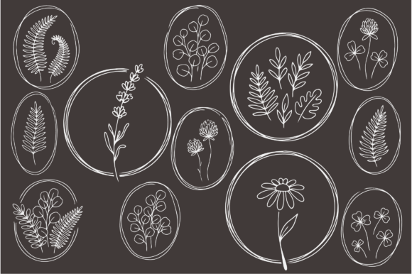 Download Botanical Floral Line Art Frames Bundle - Frame Collection